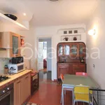 Rent 3 bedroom apartment of 85 m² in Torino