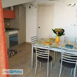 Bilocale arredato con terrazzo Vasto marina