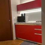 Rent 2 bedroom apartment of 50 m² in Torino