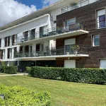 Rent 3 bedroom apartment of 65 m² in Bouguenais