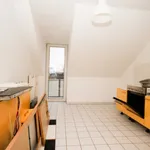 Rent 1 bedroom apartment of 72 m² in Chemnitz