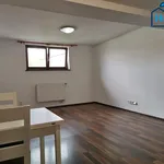 Rent 2 bedroom apartment of 60 m² in Ostrava