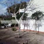 Rent 4 bedroom house in Campobello di Mazara