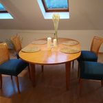 Rent 1 bedroom apartment of 49 m² in Dresden