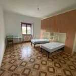 Rent 5 bedroom apartment of 100 m² in Cassino