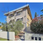 Rent 1 bedroom apartment in Greenslopes