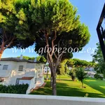 Rent 2 bedroom apartment of 55 m² in Los Realejos