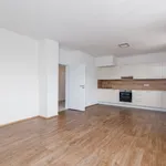 Rent 2 bedroom apartment in Pilsen