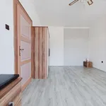 Rent 1 bedroom apartment in Hradec Králové