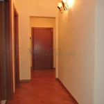 Rent 3 bedroom apartment of 100 m² in Milano