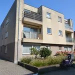 Rent 1 bedroom apartment of 84 m² in Turnhout