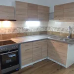 Rent 1 bedroom apartment in Liberec