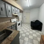 1 bedroom apartment of 430 sq. ft in Toronto (Mimico)