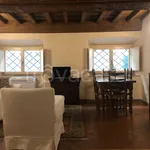 Rent 3 bedroom apartment of 60 m² in Firenze