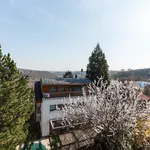 Pronajměte si 6 ložnic/e byt o rozloze 190 m² v Prague