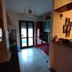 Rent 4 bedroom apartment of 110 m² in Perugia