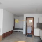 Rent 1 bedroom apartment of 35 m² in Hradec Králové