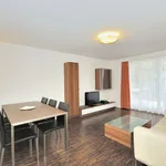 Rent 1 bedroom apartment of 732 m² in Zurich