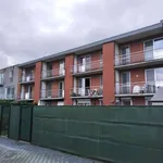 Rent 2 bedroom apartment in Wommelgem