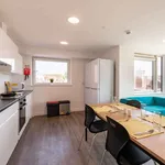 Rent 1 bedroom student apartment in Bristol