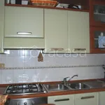 Rent 4 bedroom apartment of 70 m² in Seravezza