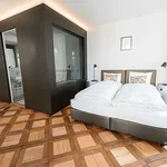 Miete 1 Schlafzimmer wohnung von 32 m² in Lucerne