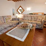 Rent 3 bedroom apartment of 75 m² in Volterra