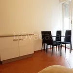 Rent 1 bedroom apartment of 30 m² in Milano