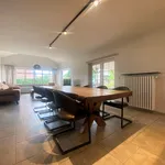 Rent 1 bedroom apartment in Waregem