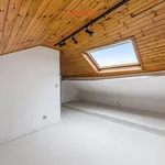 Rent 1 bedroom apartment in Leuven