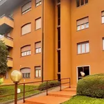 Rent 1 bedroom apartment of 35 m² in Varese