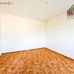 Rent 3 bedroom apartment of 63 m² in Ústí nad Labem