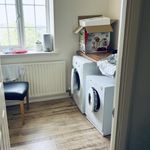 Rent 1 bedroom house in Brighton