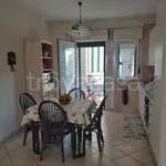 Rent 3 bedroom apartment of 75 m² in Manfredonia