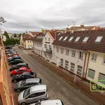 Rent 2 bedroom apartment of 39 m² in Capital City of Prague