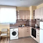 Rent 2 bedroom apartment of 75 m² in Каменица 1