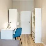 Rent a room in Wroclaw