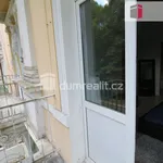 Rent 3 bedroom apartment of 100 m² in Mariánské Lázně