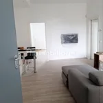 Rent 2 bedroom apartment of 70 m² in Novara