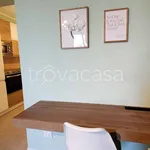 Rent 2 bedroom apartment of 55 m² in Cernusco sul Naviglio