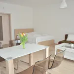 Pronajměte si 1 ložnic/e byt o rozloze 42 m² v Prague