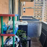 Rent 2 bedroom apartment of 50 m² in Palermo