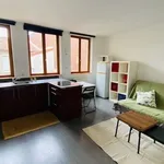 Rent 1 bedroom apartment of 23 m² in Saint-Étienne