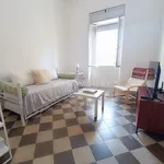 Rent 2 bedroom apartment of 60 m² in Brindisi