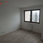 Rent 1 bedroom apartment of 346 m² in Brno