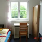 Rent a room in Vienna