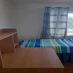 Rent a room in dublin