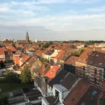 Rent 2 bedroom apartment of 110 m² in Gent