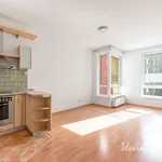 Rent 2 bedroom apartment of 48 m² in Prague