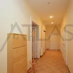 Pronajměte si 3 ložnic/e byt o rozloze 160 m² v Prague